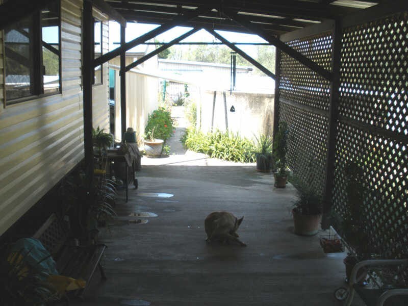 147 Toomeys Road, Taabinga QLD 4610