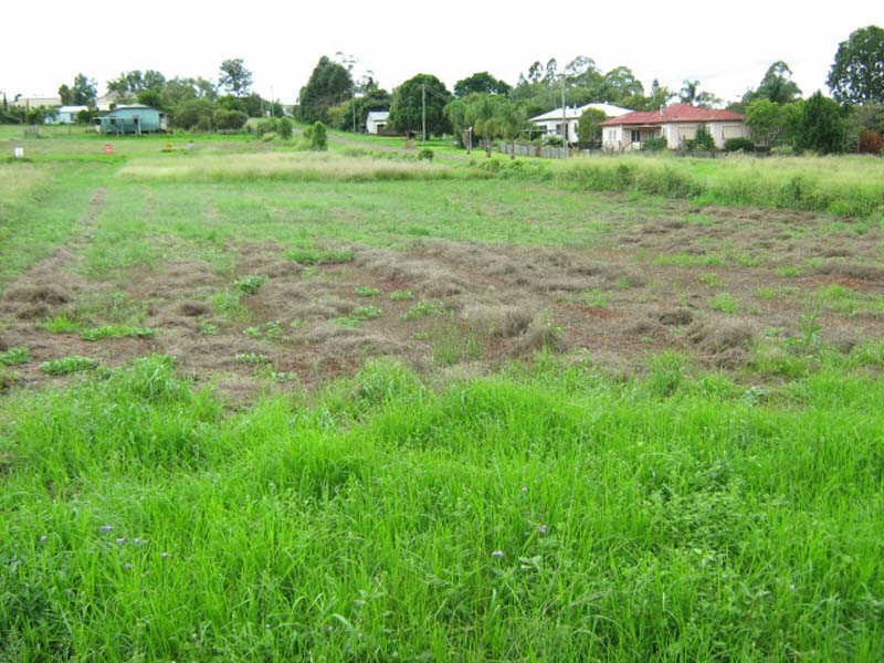 Lot 16 Muller Street, Tingoora QLD 4608