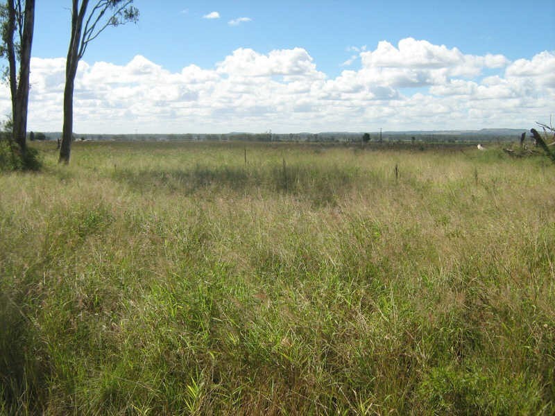 5/6/7/8 Mondure Wheatlands Road, Mondure QLD 4611