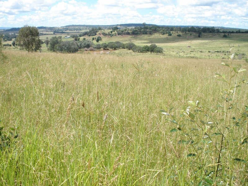 31 Back Road, Proston QLD 4613