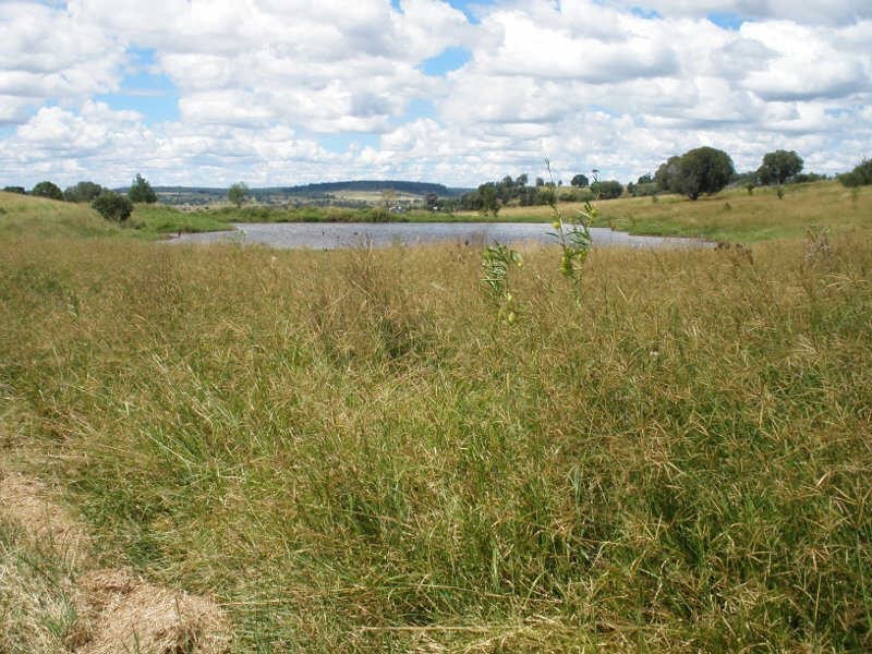 31 Back Road, Proston QLD 4613
