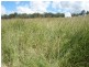 31 Back Road, Proston QLD 4613