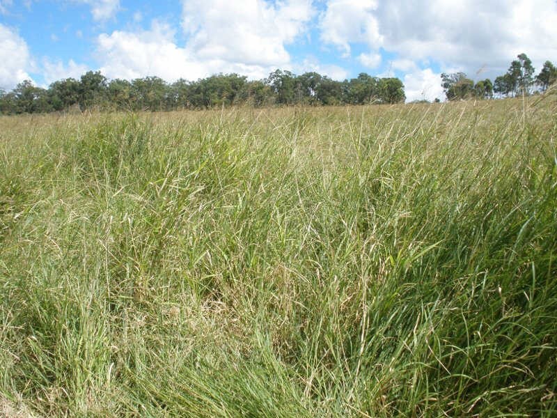 31 Back Road, Proston QLD 4613