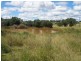 31 Back Road, Proston QLD 4613
