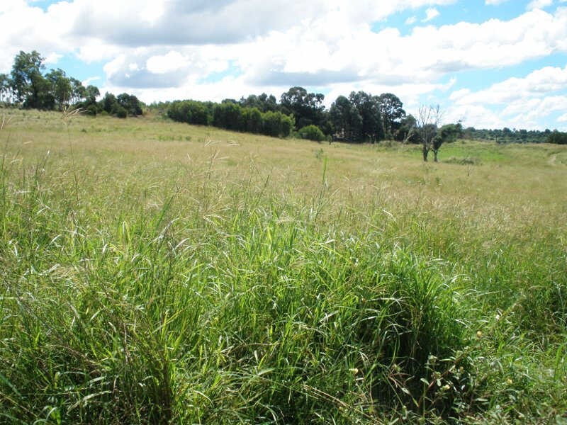 31 Back Road, Proston QLD 4613