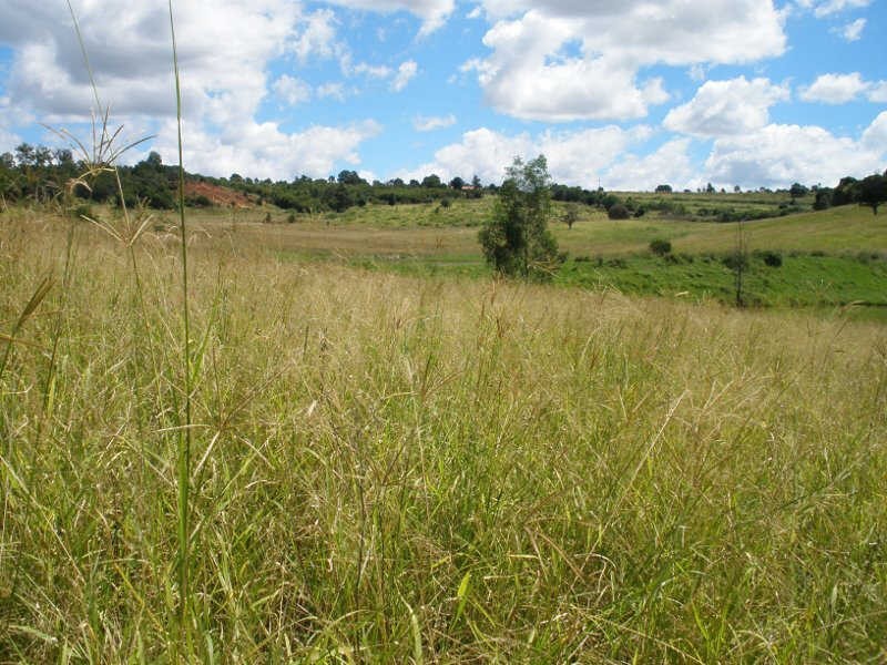 31 Back Road, Proston QLD 4613