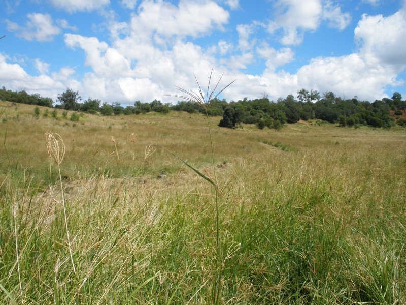 31 Back Road, Proston QLD 4613