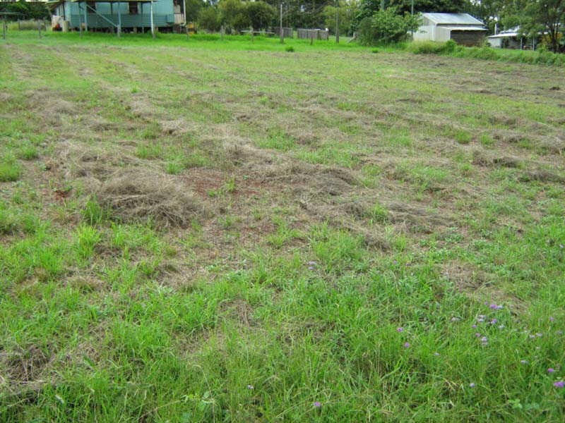 Lot 10 Gibson Street, Tingoora QLD 4608