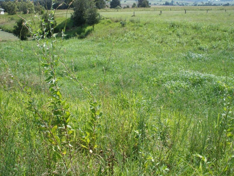 Lot 28 Butler Drive, Proston QLD 4613