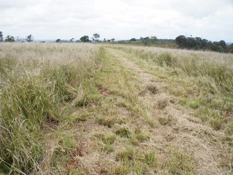 Lot 2 Middle Road, Proston QLD 4613