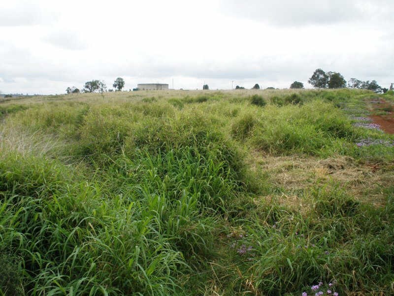 Lot 2 Middle Road, Proston QLD 4613