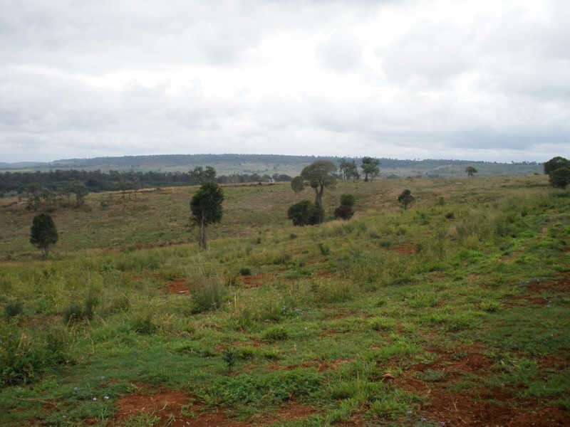 Lot 2 Middle Road, Proston QLD 4613