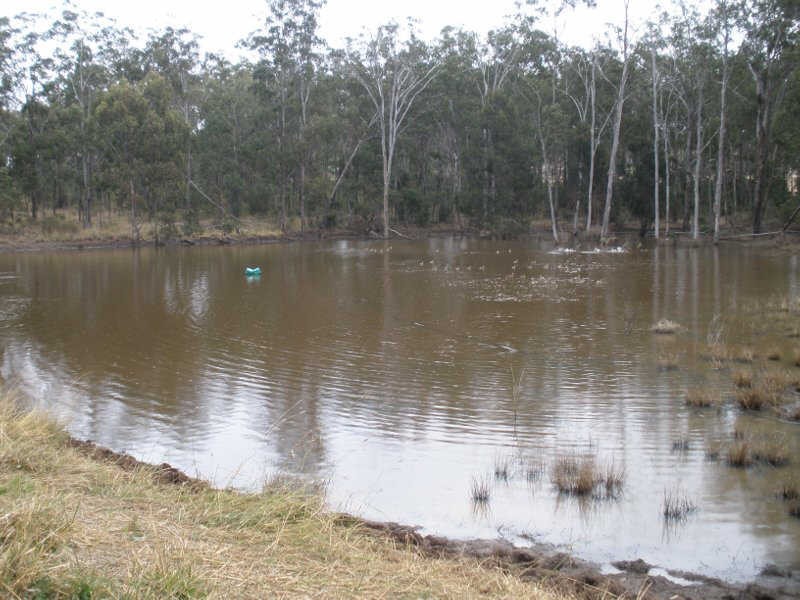 177 Cants Road, Wooroolin QLD 4608