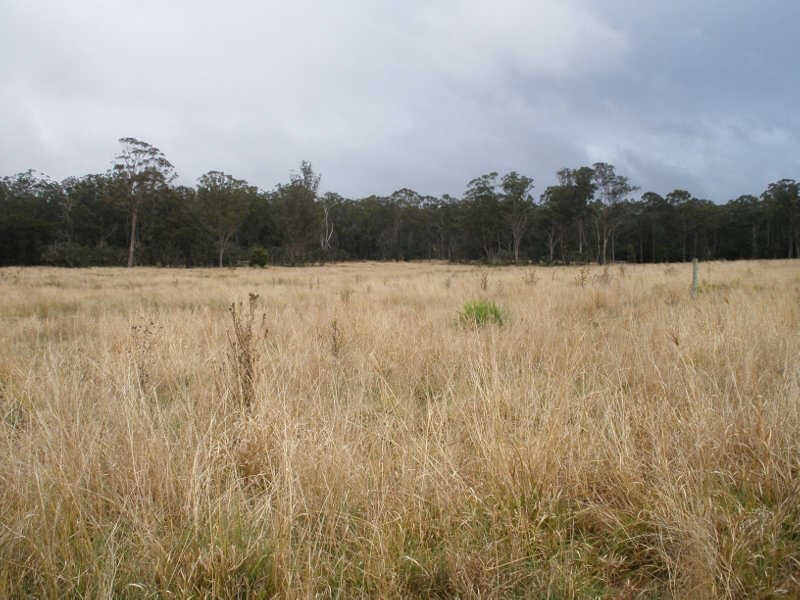 177 Cants Road, Wooroolin QLD 4608