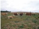 177 Cants Road, Wooroolin QLD 4608