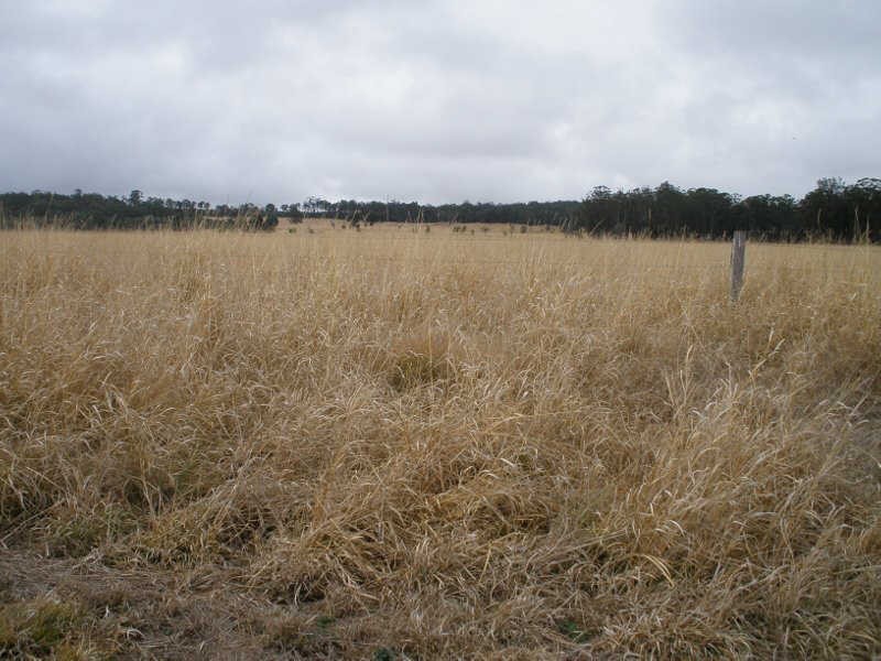 177 Cants Road, Wooroolin QLD 4608
