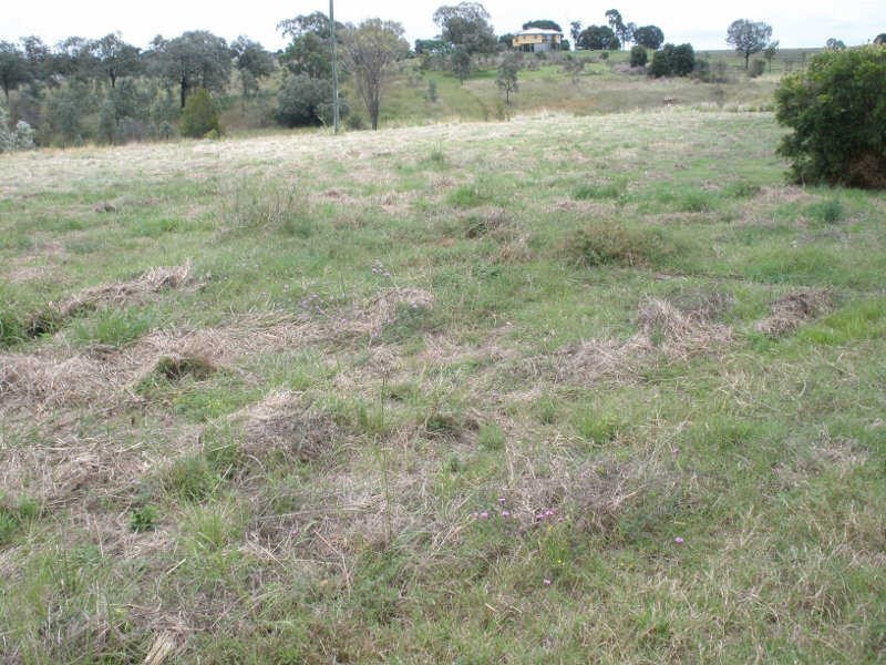 Lot 16 Susan Crescent, Proston QLD 4613