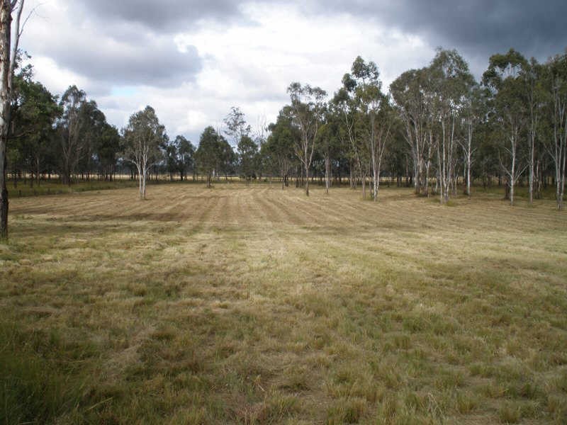 30 Birch Road, Wattle Camp QLD 4615
