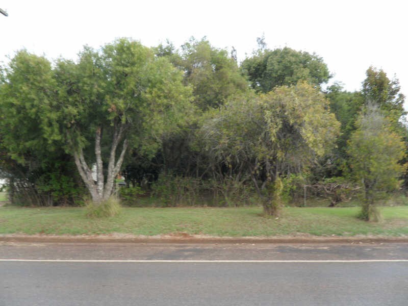 31 Haly Street, Kingaroy QLD 4610