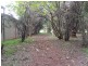 31 Haly Street, Kingaroy QLD 4610