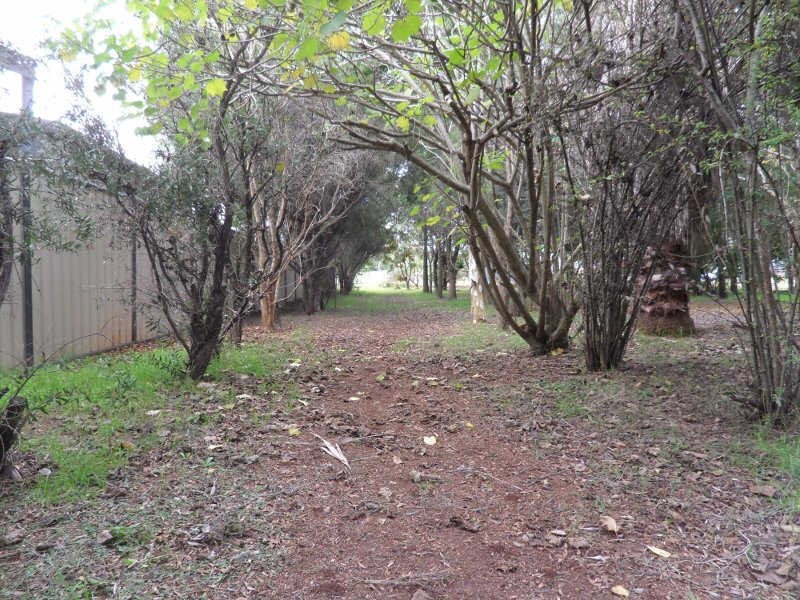31 Haly Street, Kingaroy QLD 4610