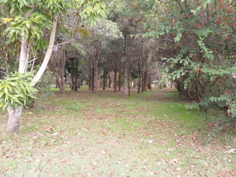 31 Haly Street, Kingaroy QLD 4610