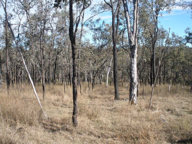 230 McKenzie Road, Wilkesdale QLD 4608