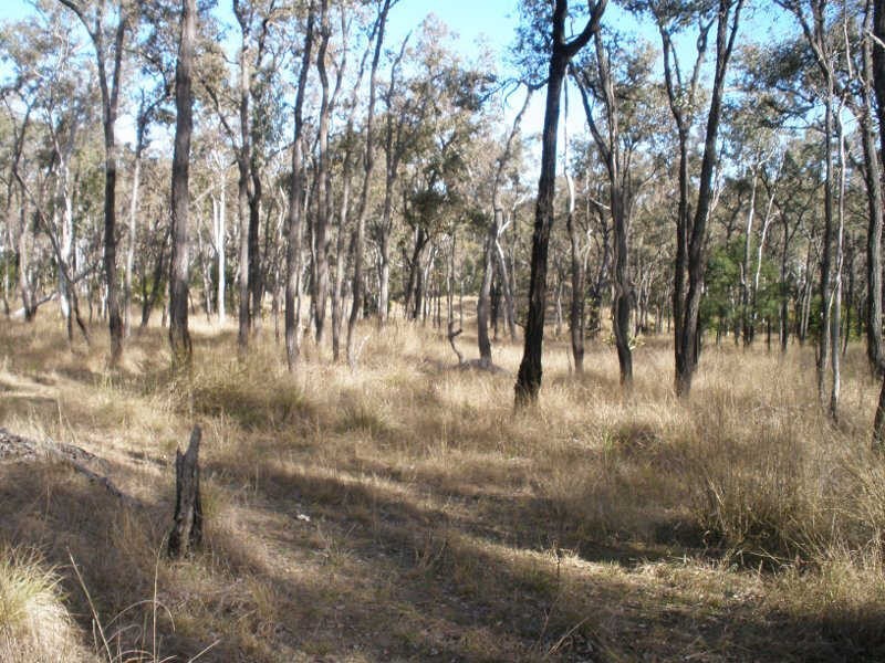 230 McKenzie Road, Wilkesdale QLD 4608