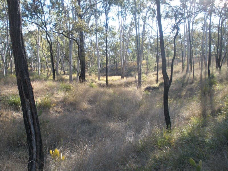 230 McKenzie Road, Wilkesdale QLD 4608