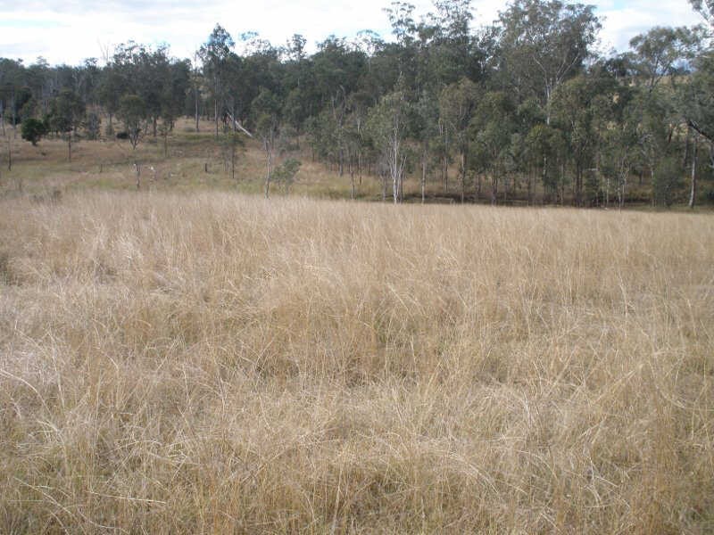 507 Okeden Road, Speedwell QLD 4613