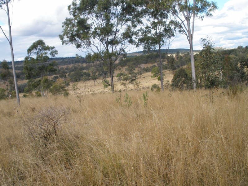 507 Okeden Road, Speedwell QLD 4613