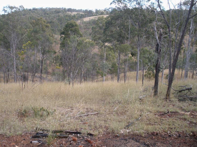 507 Okeden Road, Speedwell QLD 4613