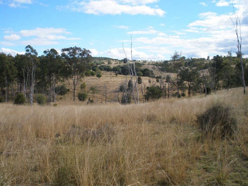 507 Okeden Road, Speedwell QLD 4613