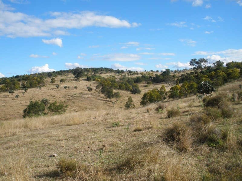 507 Okeden Road, Speedwell QLD 4613