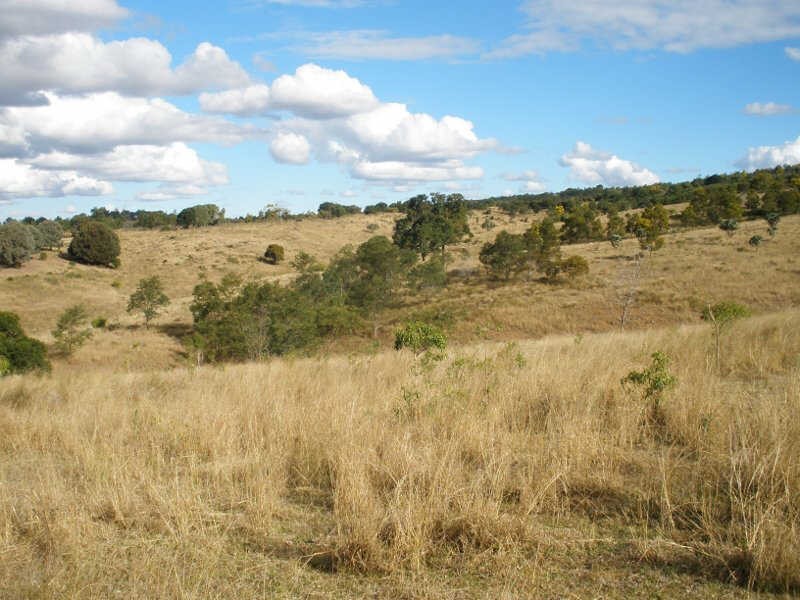 507 Okeden Road, Speedwell QLD 4613