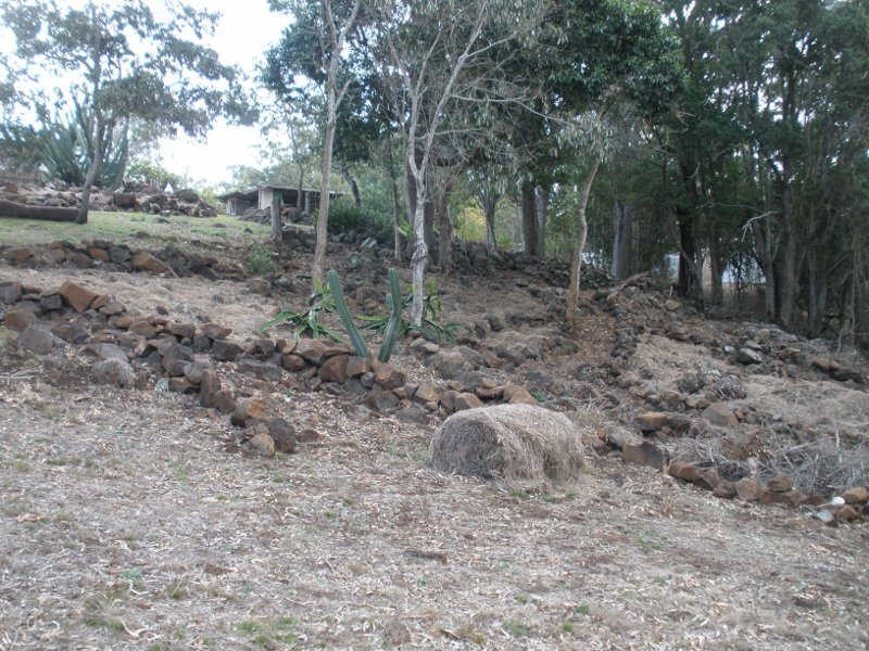 121 Lilian Avenue, Ellesmere QLD 4610