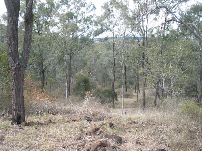 121 Lilian Avenue, Ellesmere QLD 4610