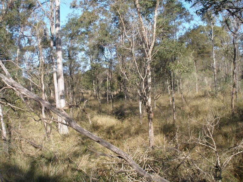 Lot 218 Wooden Hut Road, Wattle Grove QLD 4610