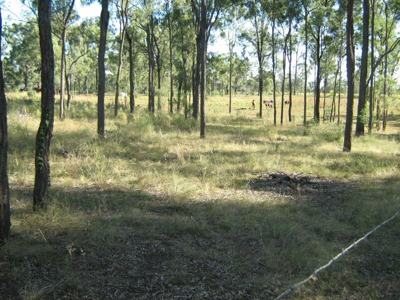 264 Bicks Road, Cloyna QLD 4605