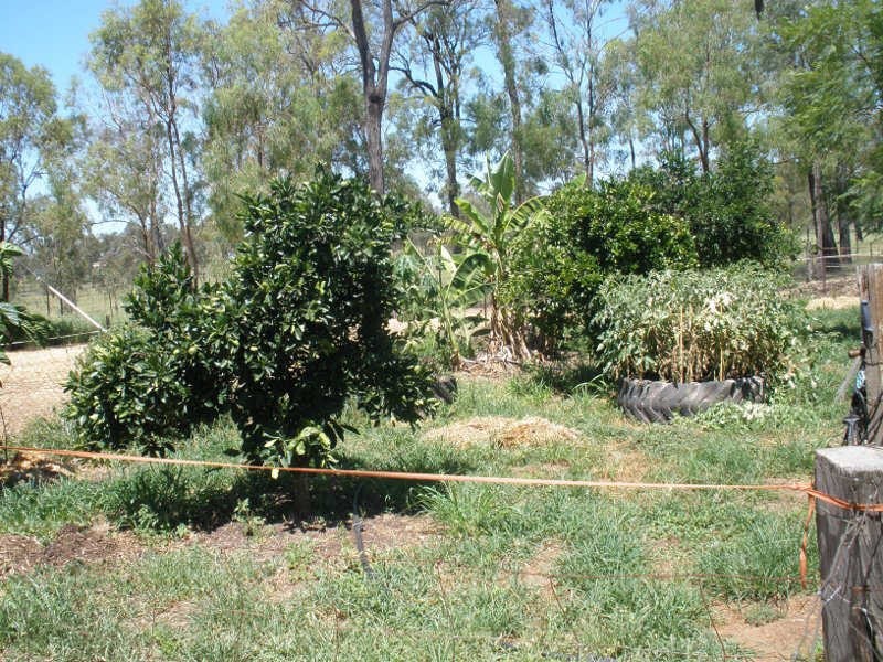 264 Bicks Road, Cloyna QLD 4605