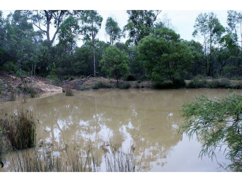 357 Brocklehurst Road, Wattle Camp QLD 4615