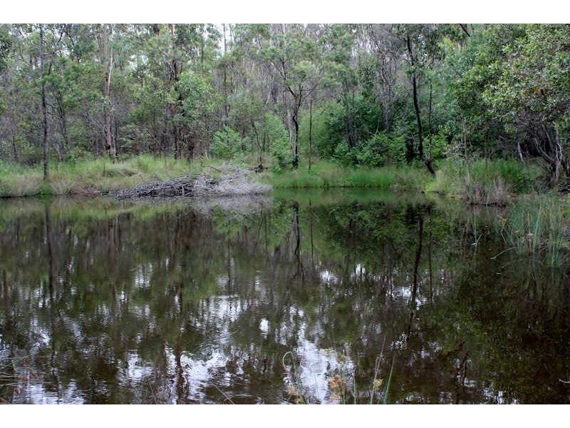 357 Brocklehurst Road, Wattle Camp QLD 4615