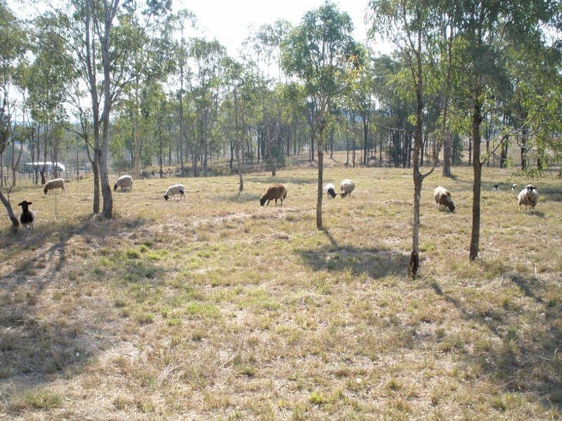 66 Runnymede Estate Road, Runnymede QLD 4615
