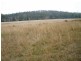 535 Palms Road, Cooyar QLD 4402