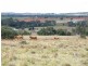 161 Wellers Road, Wooroolin QLD 4608
