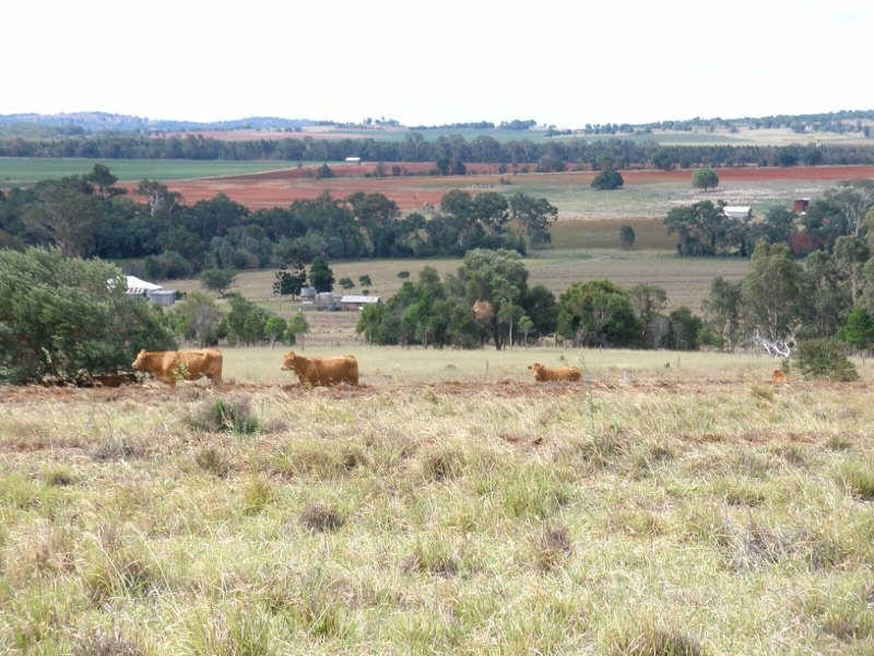 161 Wellers Road, Wooroolin QLD 4608