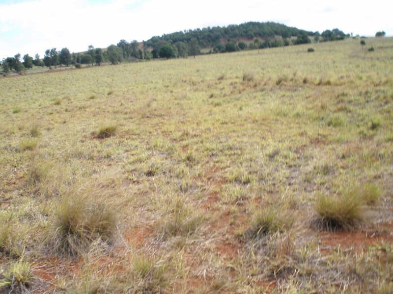 161 Wellers Road, Wooroolin QLD 4608