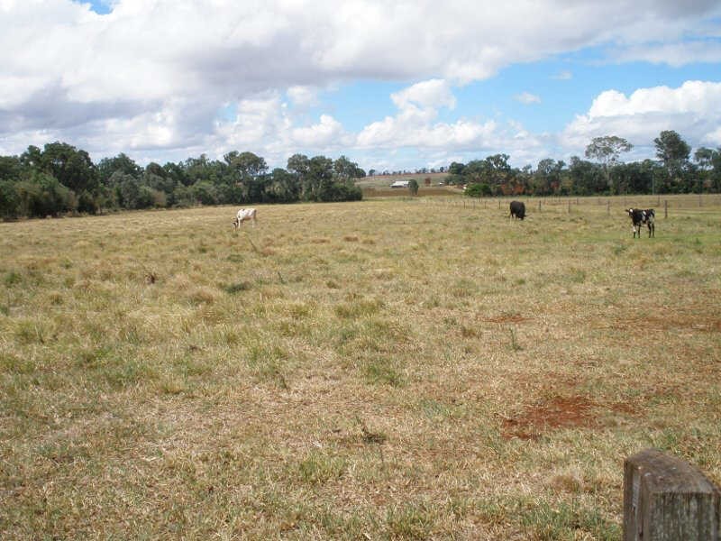 161 Wellers Road, Wooroolin QLD 4608