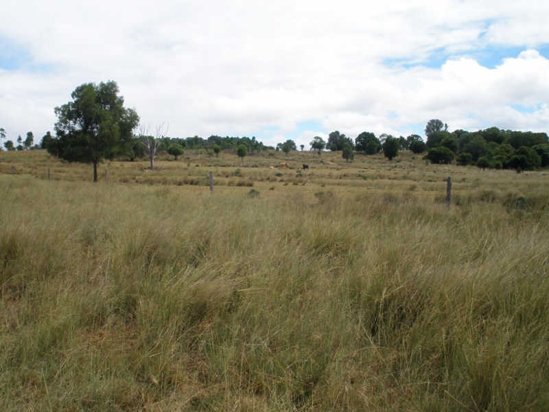 161 Wellers Road, Wooroolin QLD 4608