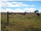 161 Wellers Road, Wooroolin QLD 4608